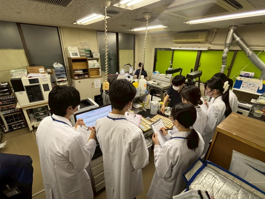 参加者の声